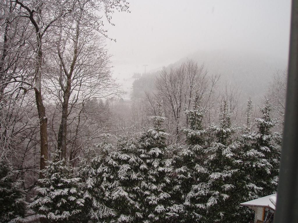 Pension Haus Am Hirschsprung Willingen  Dış mekan fotoğraf