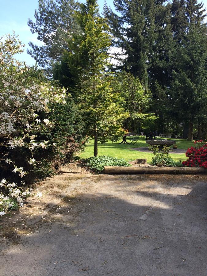 Pension Haus Am Hirschsprung Willingen  Dış mekan fotoğraf